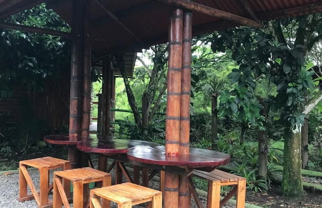 Ecocabañas Pereira - Foto 35