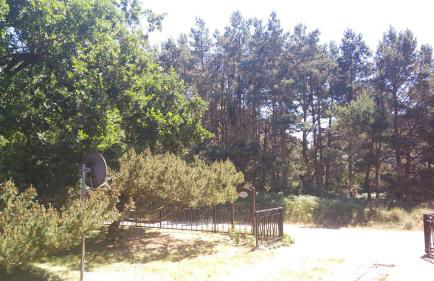 Ferienhäuschen - Foto 32