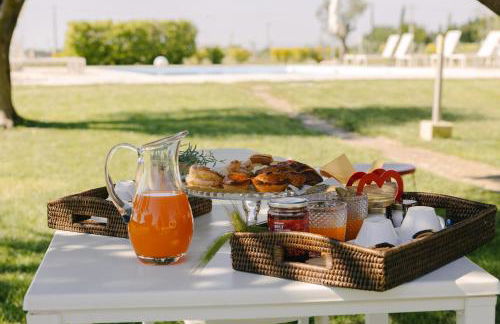 Gli Ulivi di Gino - Foto 8