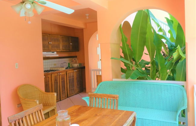 Tobago Hibiscus Villas and Apartments - Foto 16