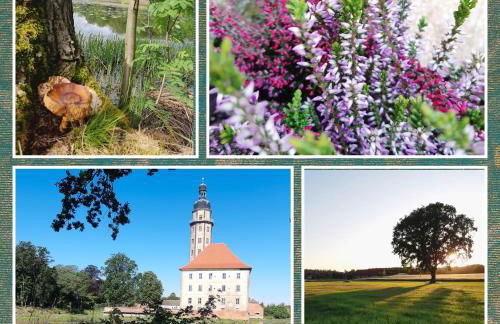 Ferienhaus Waldblick - Foto 1