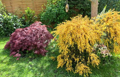 "Zur Alten Schusterei" 98597 Breitungen an der Werra - Foto 3