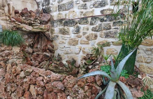 Apartamentos Casa Nino - Foto 45