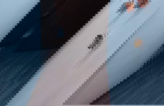 Wenmel Home - Foto 13