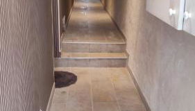 Centre Historique - Charmant T3 - 1h de l Océan - Foto 3