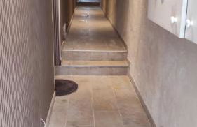 Centre Historique - Charmant T3 - 1h de l Océan - Foto 3