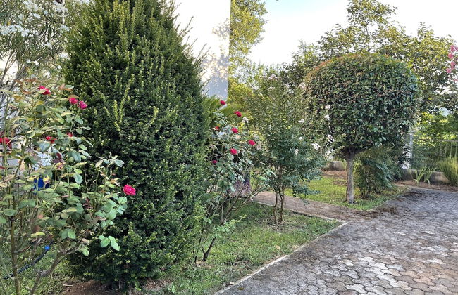 3 Bedroom Apartment With Pool - Foto 43