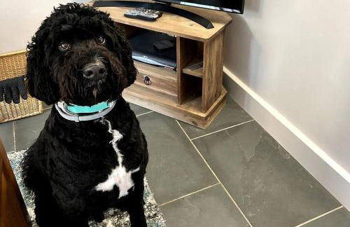 Vineyard Country Cottage - Foto 20