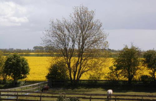 Haus am Dorfteich Kopendorf, Wohnung 2 - Foto 19