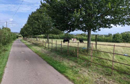 No1 The yard, Regilbury Court, Winford - Foto 13