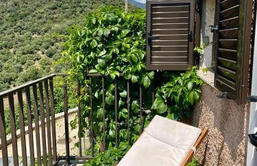 STUDIO TERRASSE VUE MER Clim Wifi Parking - Foto 8