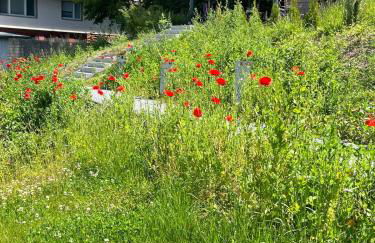 Seelenglück - Foto 50