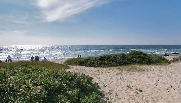 "Yrjö" - 1km from the sea - Foto 3, Outdoor