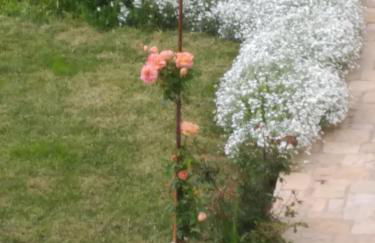 Casa Rural Caseta de l' Hort - Foto 11