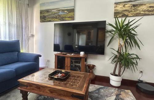 APARTAMENTO VALDEARENAS - Foto 48