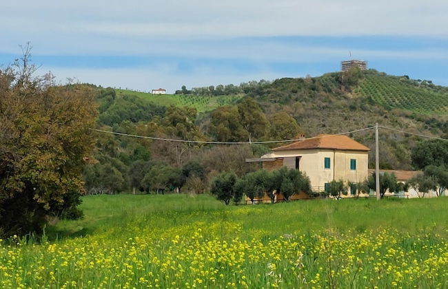 Agriturismo La Petrosa - Foto 76