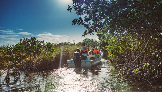 Navigating the Sian Ka'an canals