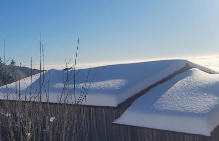 Ferienbungalow Sonnenwald Bayerischer Wald - Foto 8