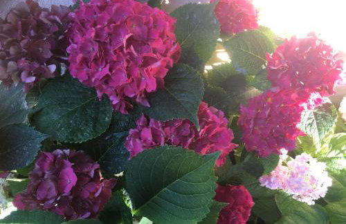 Holiday home Sandra - Foto 51