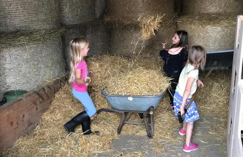 Ferienhaus Spielburg - Foto 65