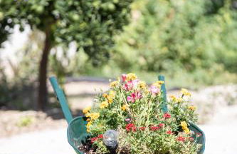 Garden Apartment in Amarynthos II - Photo 25