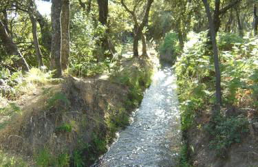 Cortijo Prado Toro - Foto 51