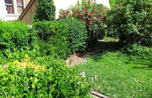 L'essentiel de Chartres - Foto 14