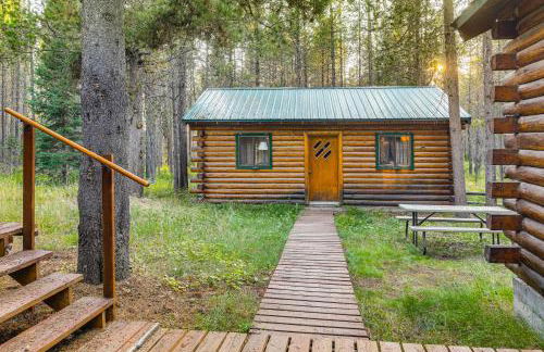 Island Park Fishing Cabin - Walk to Henrys Fork! - Foto 20