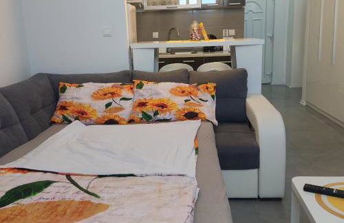 Studio apartman Laura - Foto 46