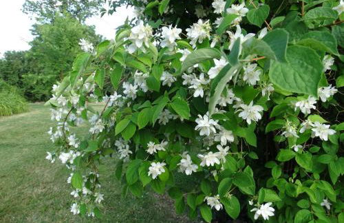 La Geneste un gîte dans la campagne sarladaise - Foto 8