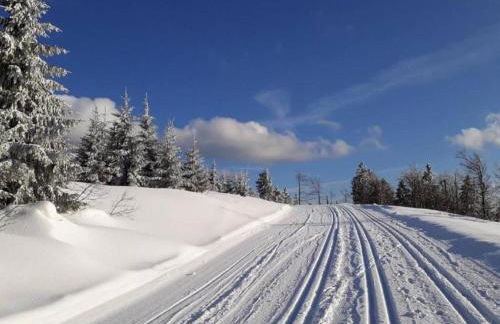 Cozy Apartment in Ruhmannsfelden With Swimming Pool - Foto 26