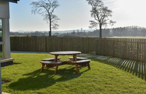 Petronella - Foto 22