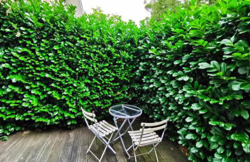 CF13 30m2 Central with Terrace AC and Netflix - Foto 35