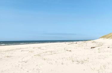 Bursztynek i Muszelka - Foto 12