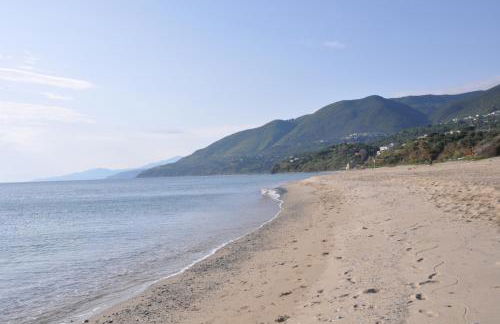 Residence San Salvatore - Foto 60