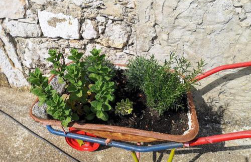 Cosy 4bedrooms Holiday House Ruška - Dol - Foto 52