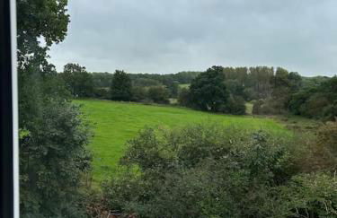 Meadow View - Foto 7