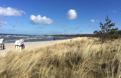 Ferienhaus Blomengoorn - Foto 45