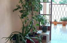 CasaMia tra Navigli e Università-FREE PARKING - Foto 62