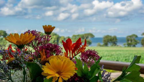 Ferienbauernhof Liesenberg Meerblickhaus Strandmuschel - Foto 4