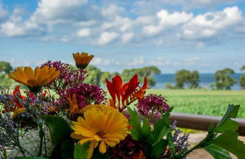 Ferienbauernhof Liesenberg Meerblickhaus Strandmuschel - Foto 4