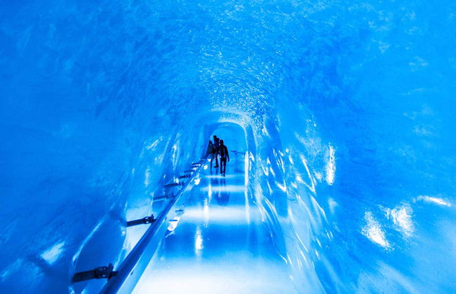 Excursion au Jungfraujoch - Photo 2