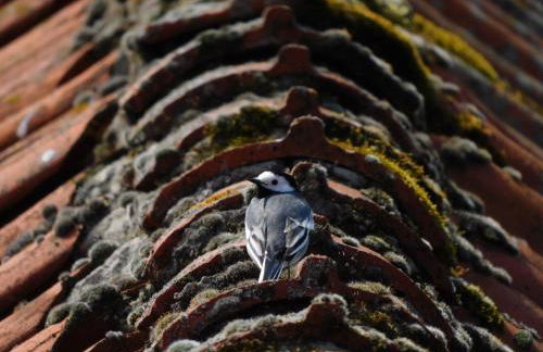 In der Wassermühle - Foto 25