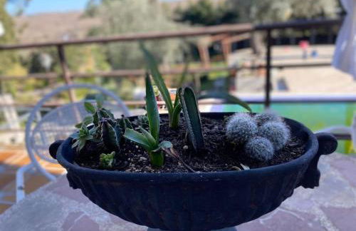 Alojamiento con piscina a 10 minutos de Puy du Fou Toledo - Foto 8