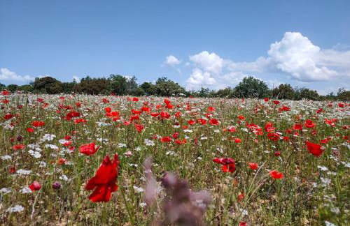 La perle de Gordes - Photo 26