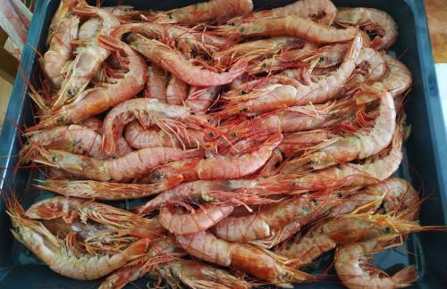 Aspra al delfino blu - Foto 12