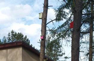 Domek Zielenina - Foto 27