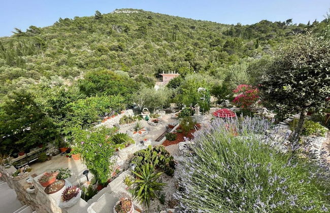 Apartments Leviana - Foto 37