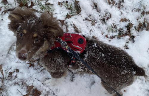 Bear's Mountaintop Home with Gorgeous Lake Views chalet - Foto 53