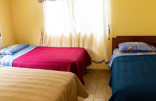 Casa de campo Los Yungas - Photo 5